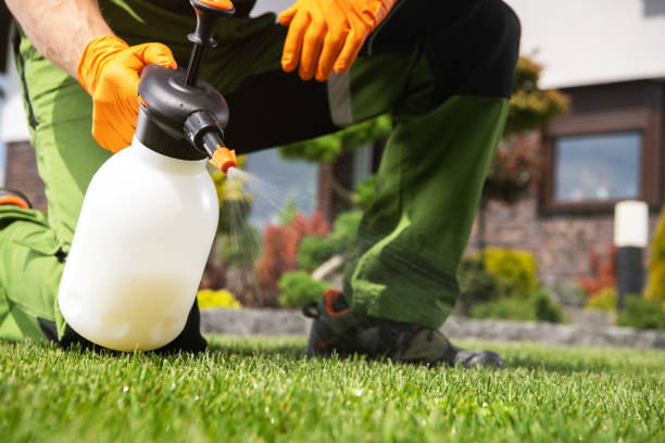Wildlife Control Services in Medina, TX