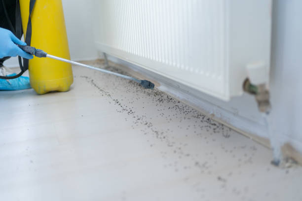 Pest Control for Restaurants in Medina, TX