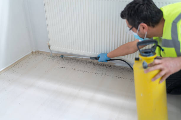 Best Best Pest Control Companies  in Medina, TX